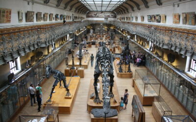 Quels sont les musées à New York ?